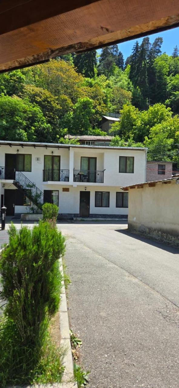 My House Villa Bordzjomi Buitenkant foto